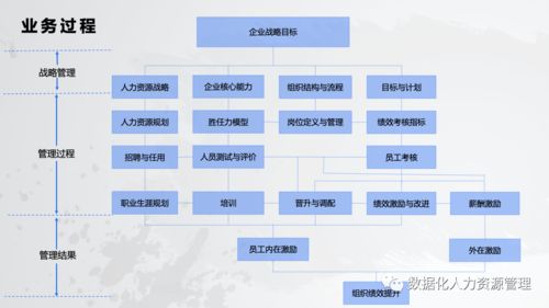 數據產品在人力資源管理的實踐與思考 一、在線數據處理與交易處理業務